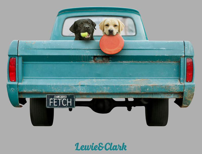 Fetch Black and Yellow Labradors in Vintage Ford Truck T-shirt - Dog Lover Tee - Labardor Shirt