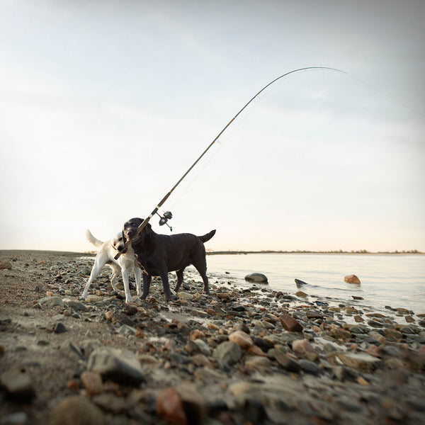 HOOK, LINE and SINKER Dog Art Canvas - Labrador Cabin Lodge Decor