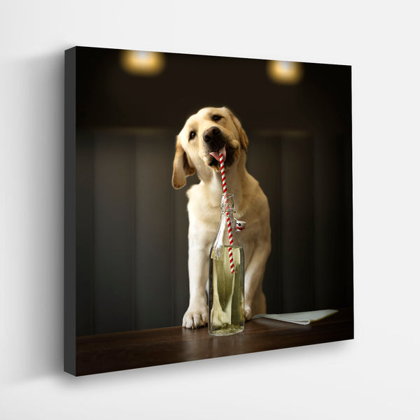 FIZZ Dog Canvas Art Print - Yellow Labrador Kitchen, Bar Artwork