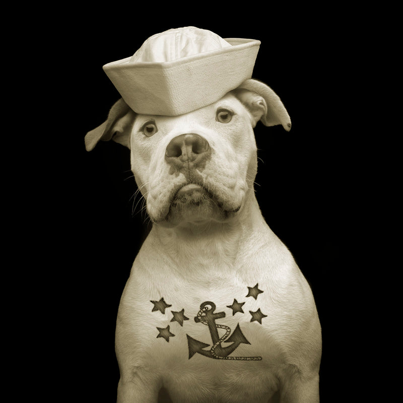 FLUKE Sailor Dog Canvas Art Print - Black & White Pit Bull Tattoo Art