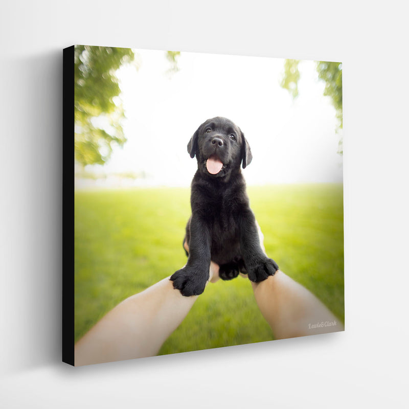 Black Labrador Retriver Puppy Wall Art on Canvas, Art for Dog lover, Wall Decor for Kid's Bedroom, Nursery, Gift for Labrador Breed Gift for Dog Lover