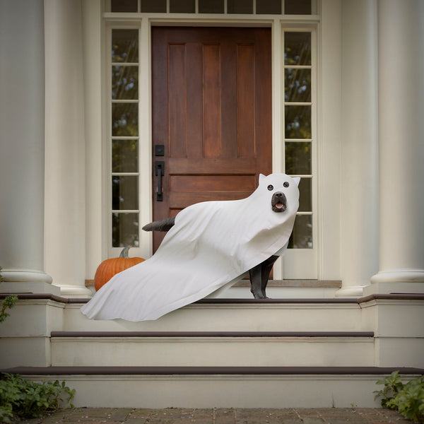 BOO Dog Ghost Canvas Art Print - Black Labrador Halloween Fall Decor Artwork