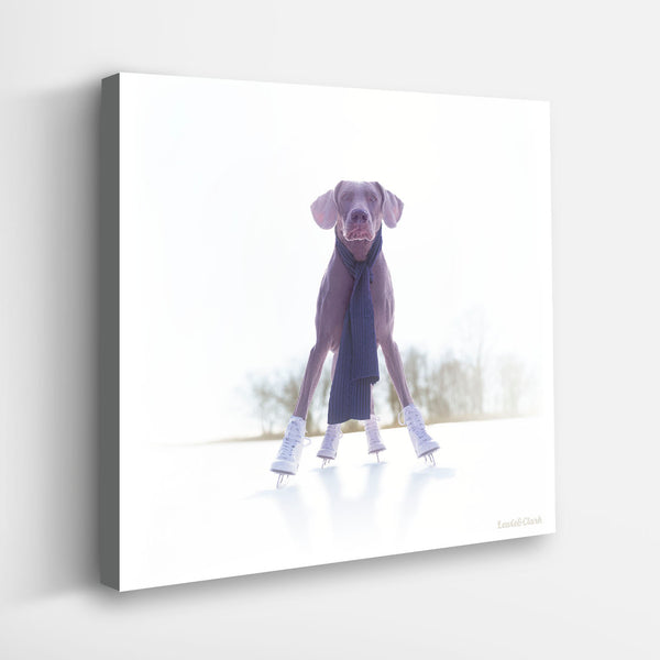 GRACE Ice Skating Dog Canvas Art Print - Weimaraner Photography Artwork