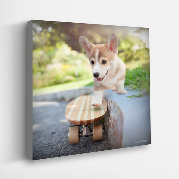 GROMMET Skateboarding Dog Cavas Art Print - Corgi Wall Decor