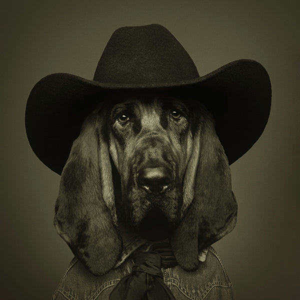 HANK Bloodhound Art