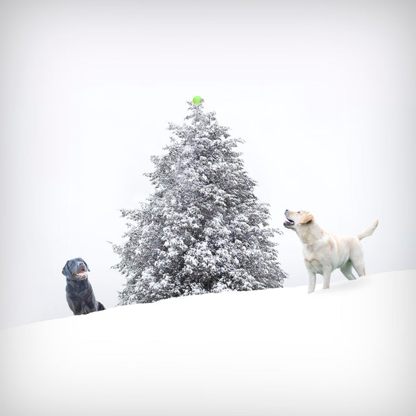 HARK Dog Holiday Art Print - Labradors Christmas Tree Home Wall Decor