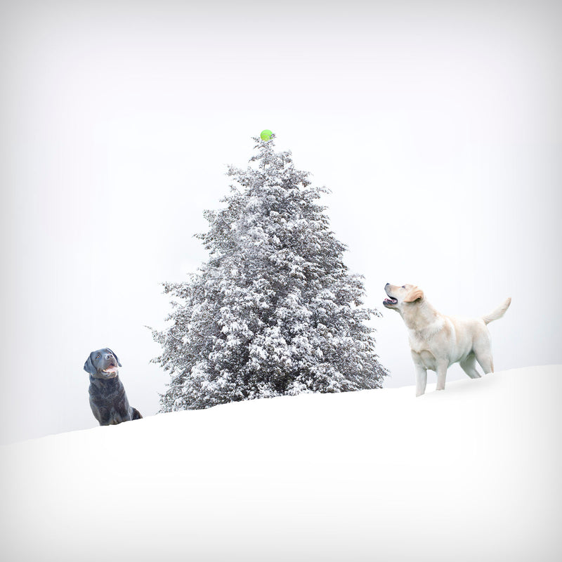 HARK Dog Canvas Art Print - Labradors at Christmas Tree Wall Home Decor
