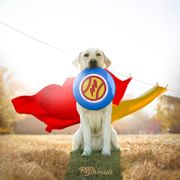 HERO Dog Canvas Art Print  - Yellow Labrador Superhero Wall Decor