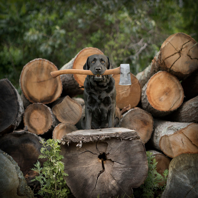 HEW Lumberjack Dog Canvas Art Print - Black Labrador - Rustic Outdoor Lover Wall Decor