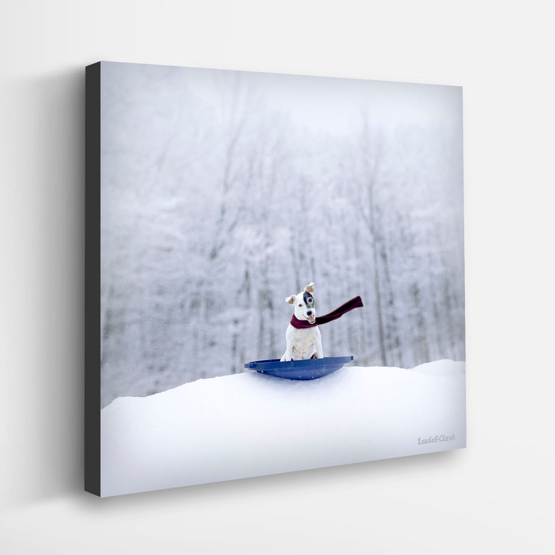 Jack Frost Canvas Art Print - Jack Russell Terrier Winter Snow Wall Artwork