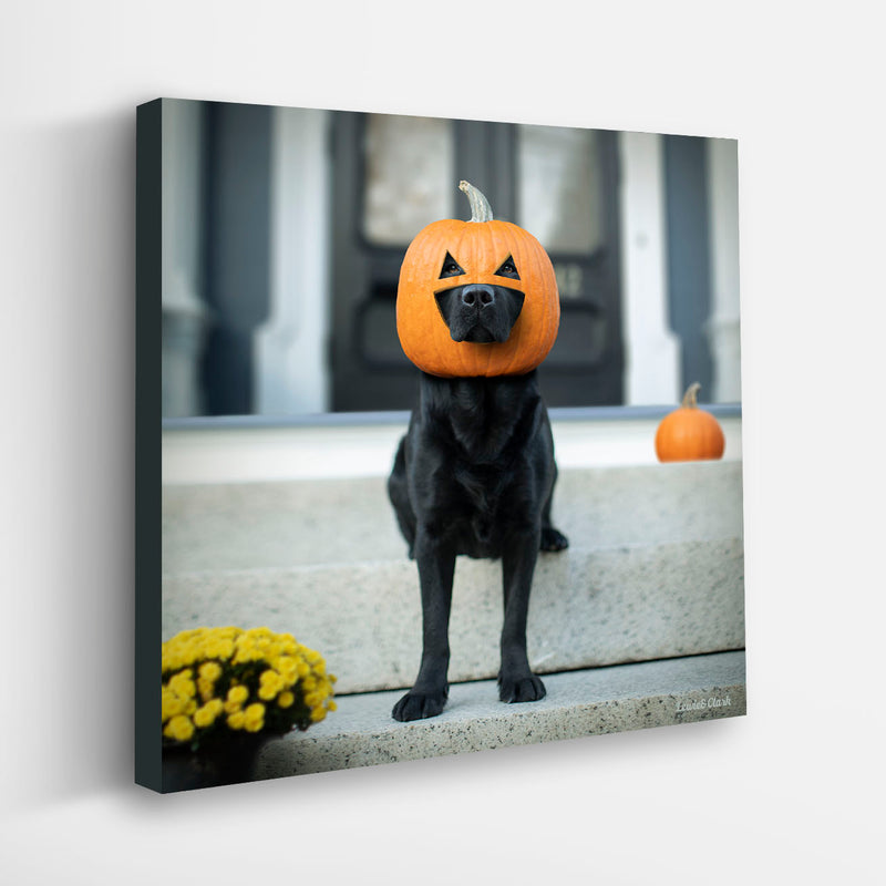 JACK-O-LABBY Jack-O'-Lantern Dog Canvas Art Print - Black Labrador - Fall Halloween Dog Decor