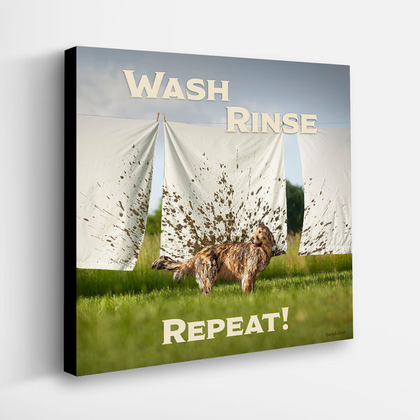 "Wash, Rinse, Repeat" Canvas - Golden Retriever Art - Wall Decor for Home, Mudroom, Laundry Room, Bathroom, Dog Groomer