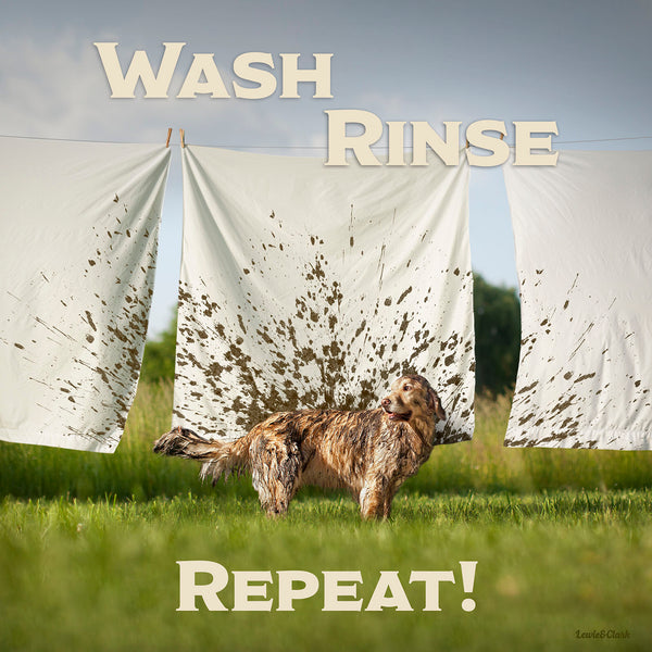 "Wash, Rinse, Repeat" Canvas - Golden Retriever Art - Wall Decor for Home, Mudroom, Laundry Room, Bathroom, Dog Groomer