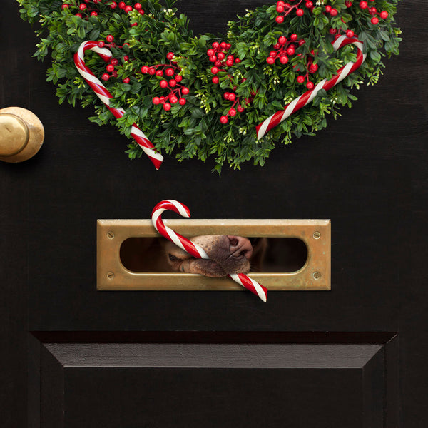 KANE Holiday Dog Canvas Art Print - Labrador and Wreath - Candy Cane Christmas Decor
