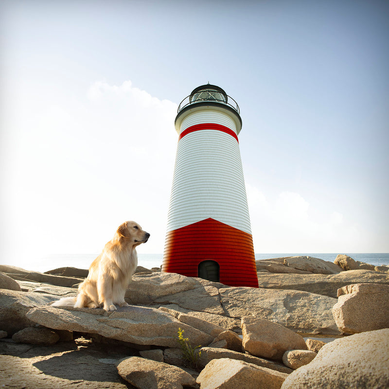 KEEPER Lighthouse Dog Canvas Art Print  -  Golden Retriever Coastal Decor