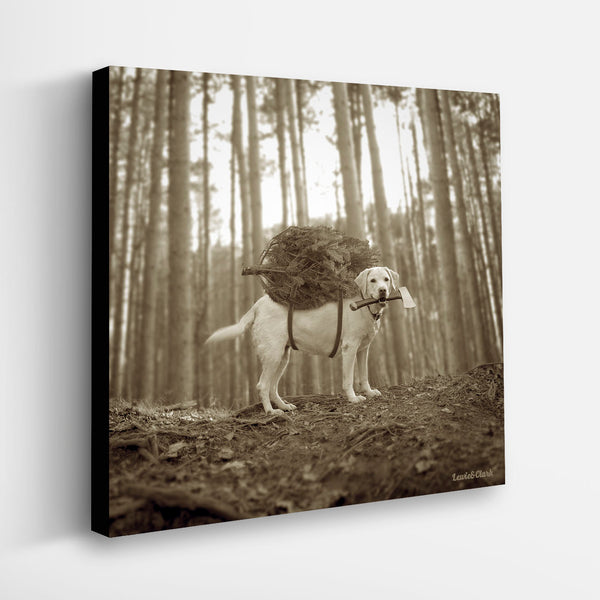 LABERJACK Dog with Tree  - Labrador Fine Art Canvas Print