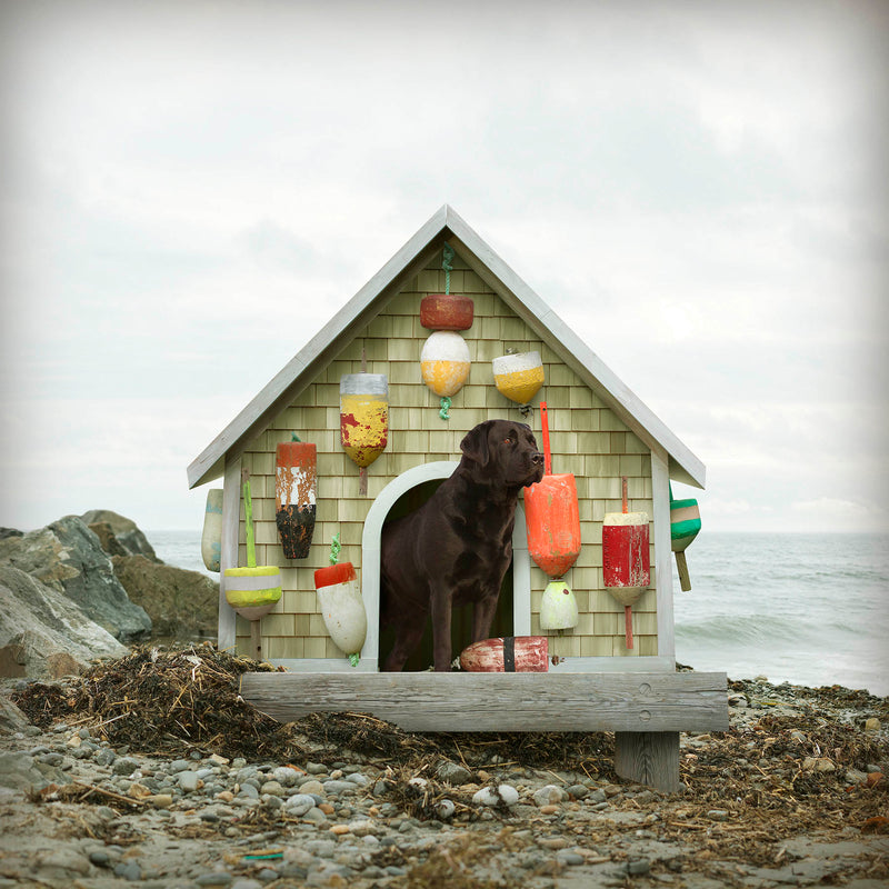 MATEY - Coastal Beach Dog Art Print, Black Labrador by Lobster Shack, Dog Lover Home Decor