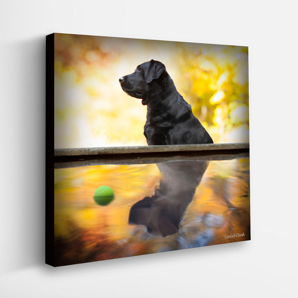 MIRROR Dog Canvas Art Print - Black and Yellow Labrador Reflection Artwork