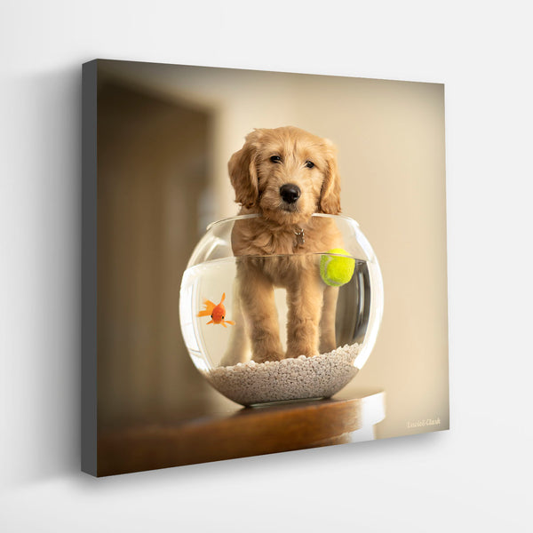 MOBY Dog Goldfish Canvas Art Print - Goldendoodle Wall Decor