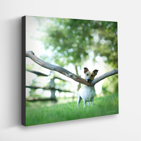 OAKLEY Dog Canvas Art Print - Jack Russell Terrier Big Stick Wall Decor