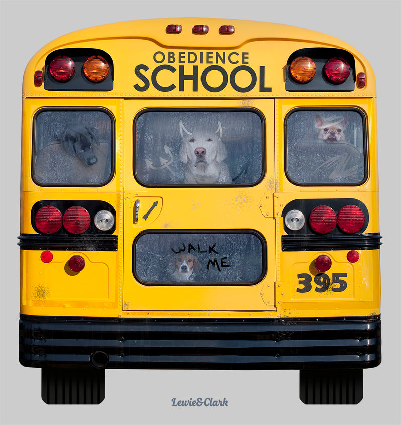 Obedience School Shirt  - Dogs on School Bus T-Shirt - Funny Dog Tee - School Bus Driver Shirt