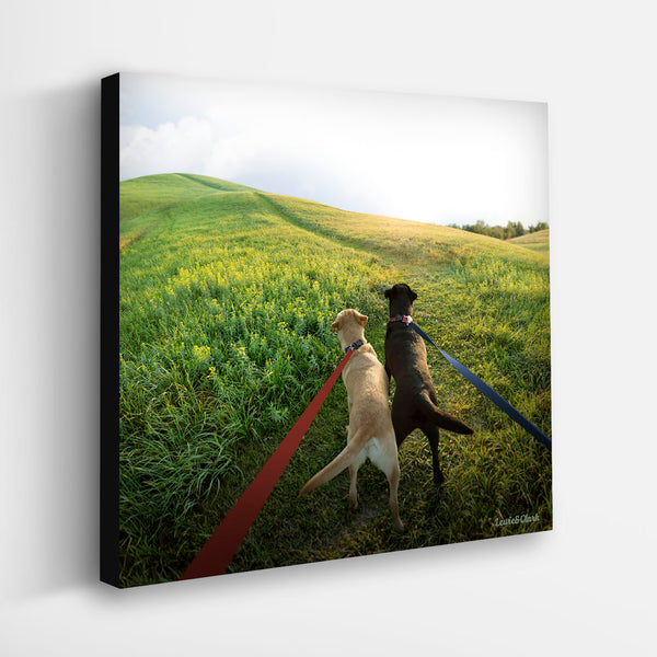 ON YOUR MARK Dog Canvas Art Print - Labrador Retrievers Wall Art