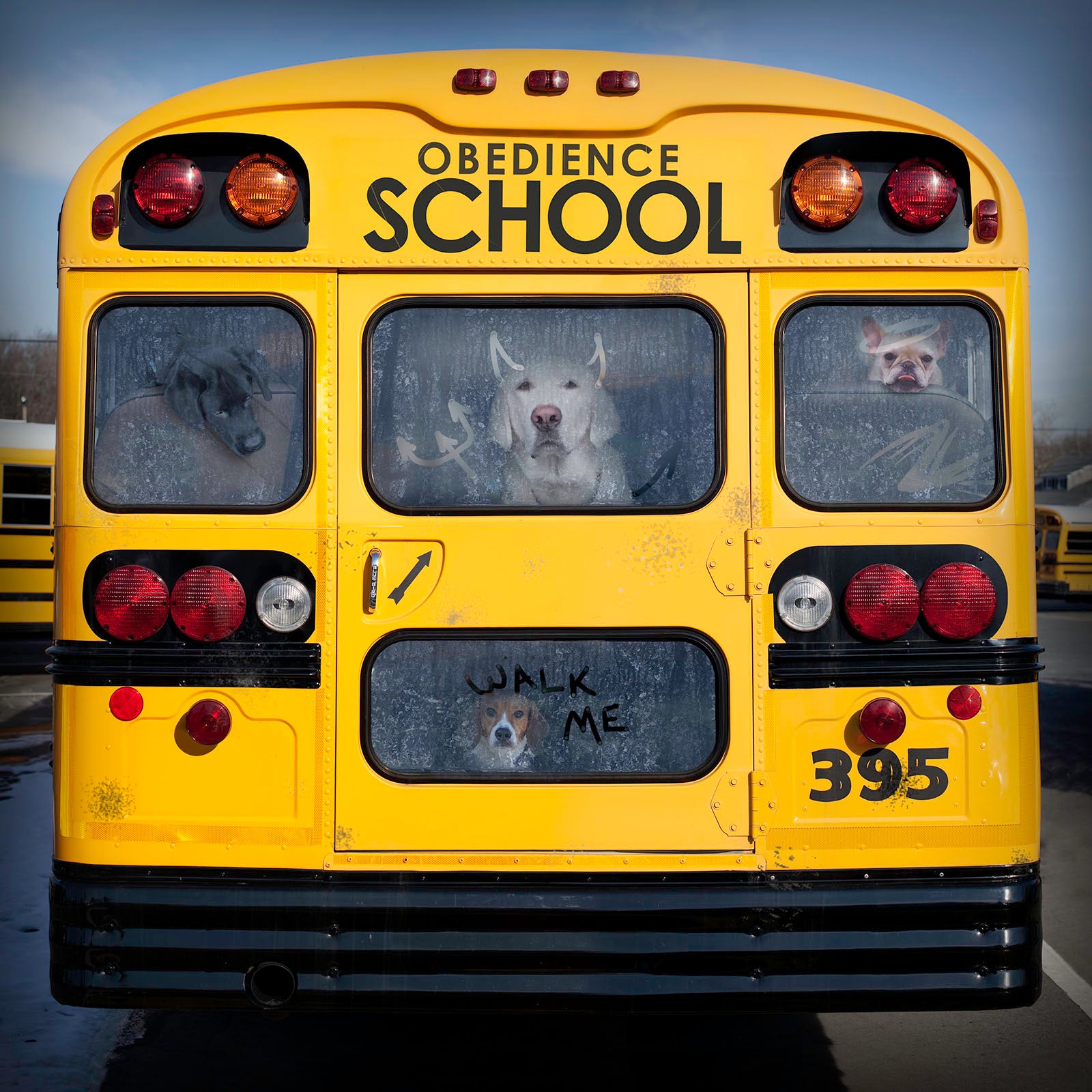 絵画 The dog bus OBEDIENCE SCHOOL Dog School Bus Canvas Wall Art Print - Dog Lover
