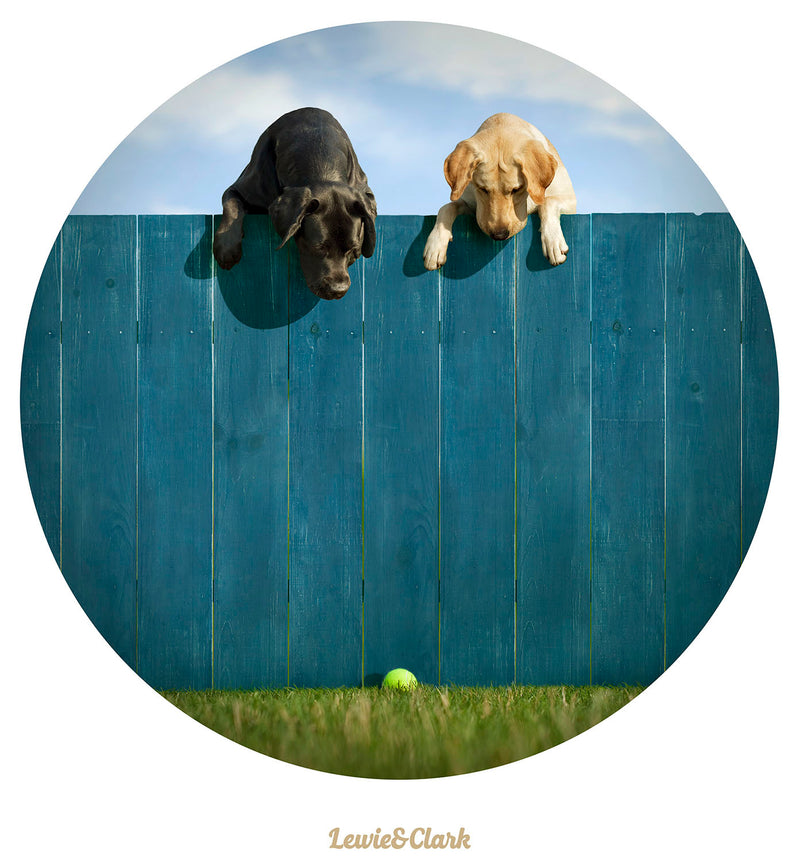 Out of the Park Dog Lover T-shirt - Yellow and Black Labrador and Tennis Ball Tee