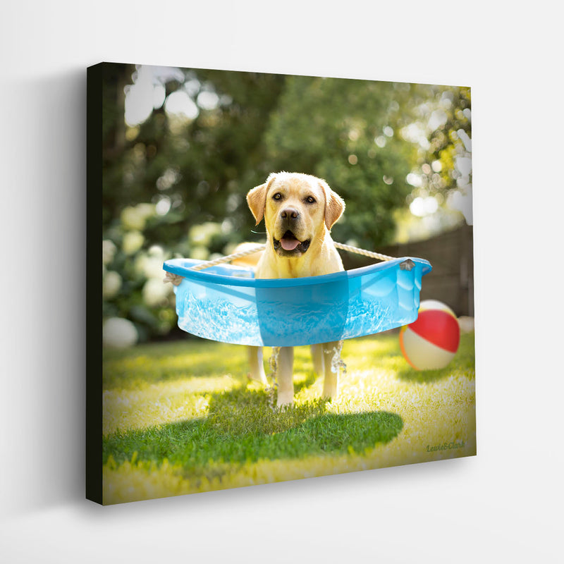 LEO Summer Fun Canvas Art Print  - Yellow Labrador Art