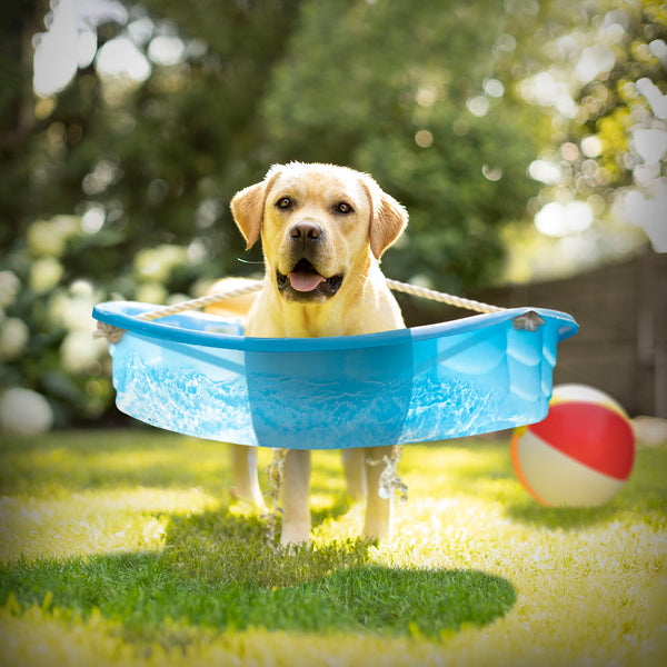 LEO Summer Fun Canvas Art Print  - Yellow Labrador Art