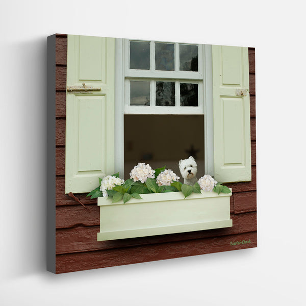 POSY Flower Dog Canvas Art Print  - West Higland Terrier Wall Art