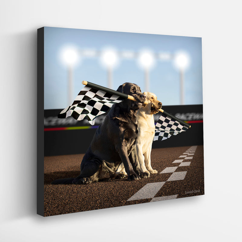 RALLY Car Racing Checkered Flag Canvas Art Print - Labrador Wall Art