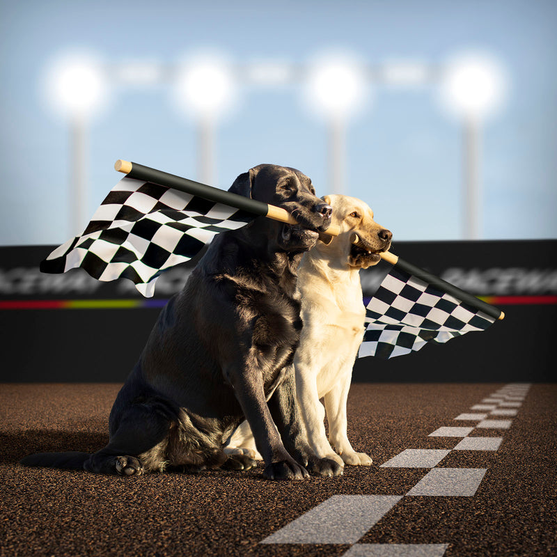 RALLY Car Racing Checkered Flag Canvas Art Print - Labrador Wall Art