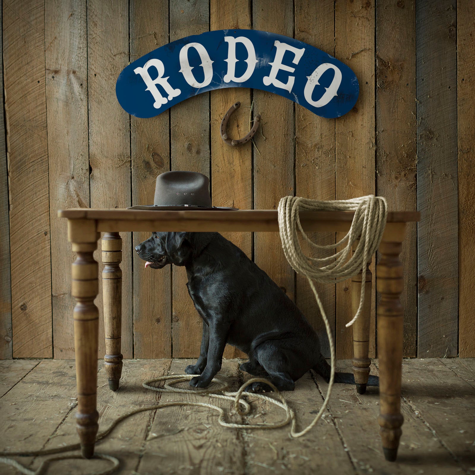 COLT Dog Canvas Art Print - Black Labrador Cowboy Farmhouse