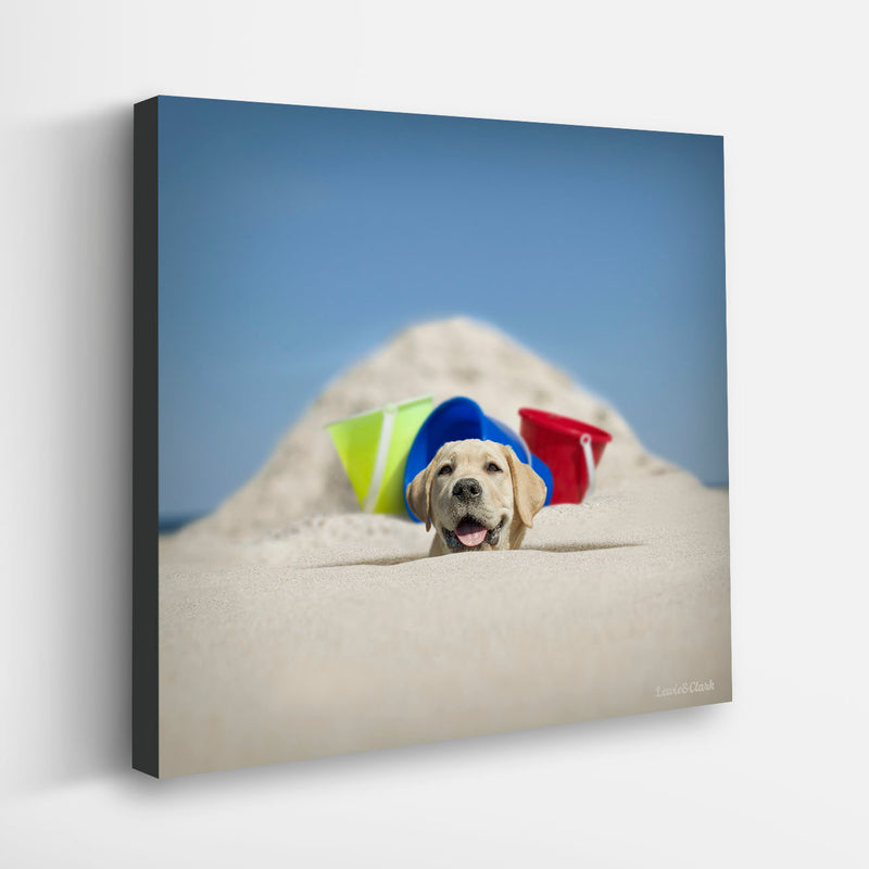 SCOOP Beach Dog Canvas Art Print - Labrador Coastal House Wall Art