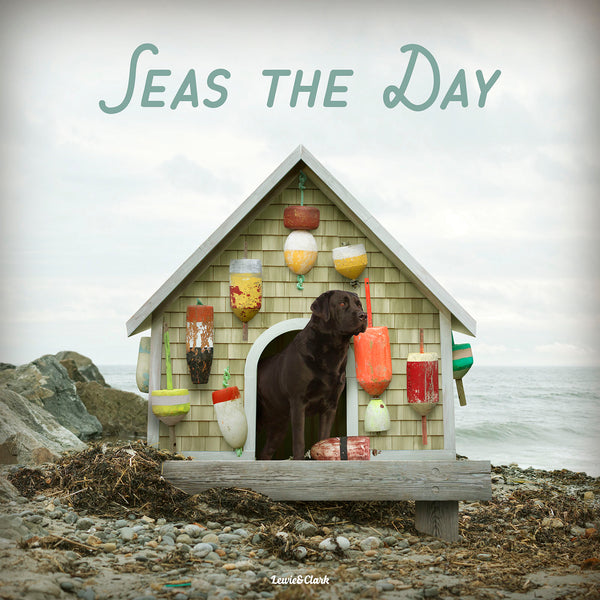 Seas the Day Quote Black Labrador by Lobster Shack on Ocean Beach Canvas. Fun, colorful & unique dog art for beach house feel by dog photographer Ron Schmidt