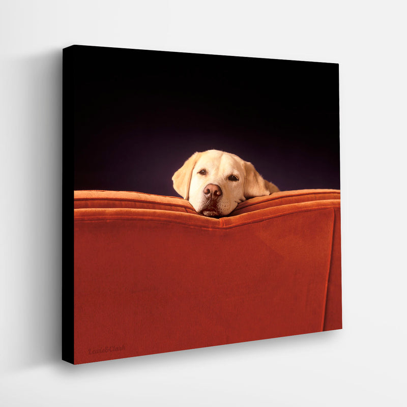 SLEEPY Yellow Dog on Red Couch Canvas Art Print - Labrador Wall Art