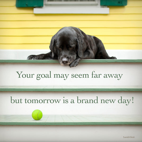 Black Labrador Retriever inspirational and motivational dog quote on canvas. Wall decor for the home, office. Quote: Your goal may seem far away but tomorrow is another day!
