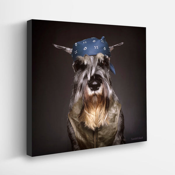 SPIDER Biker Dog Canvas Art Print - Giant Schnauzer Motorcyle Wall Art