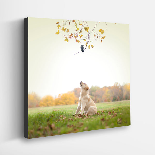 SPOT Bird Dog Canvas Art Print - Yellow Labrador Wall Art