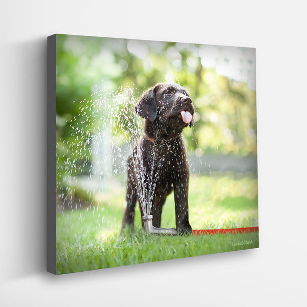 SQUIRT Summer Fun Dog Canvas Art Print  - Chocolate Labrador Dog Days of Summer Art