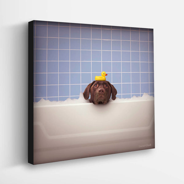 STINKY Dog in Bathtub Canvas Art Print  - Chocolate Labrador Wall Art