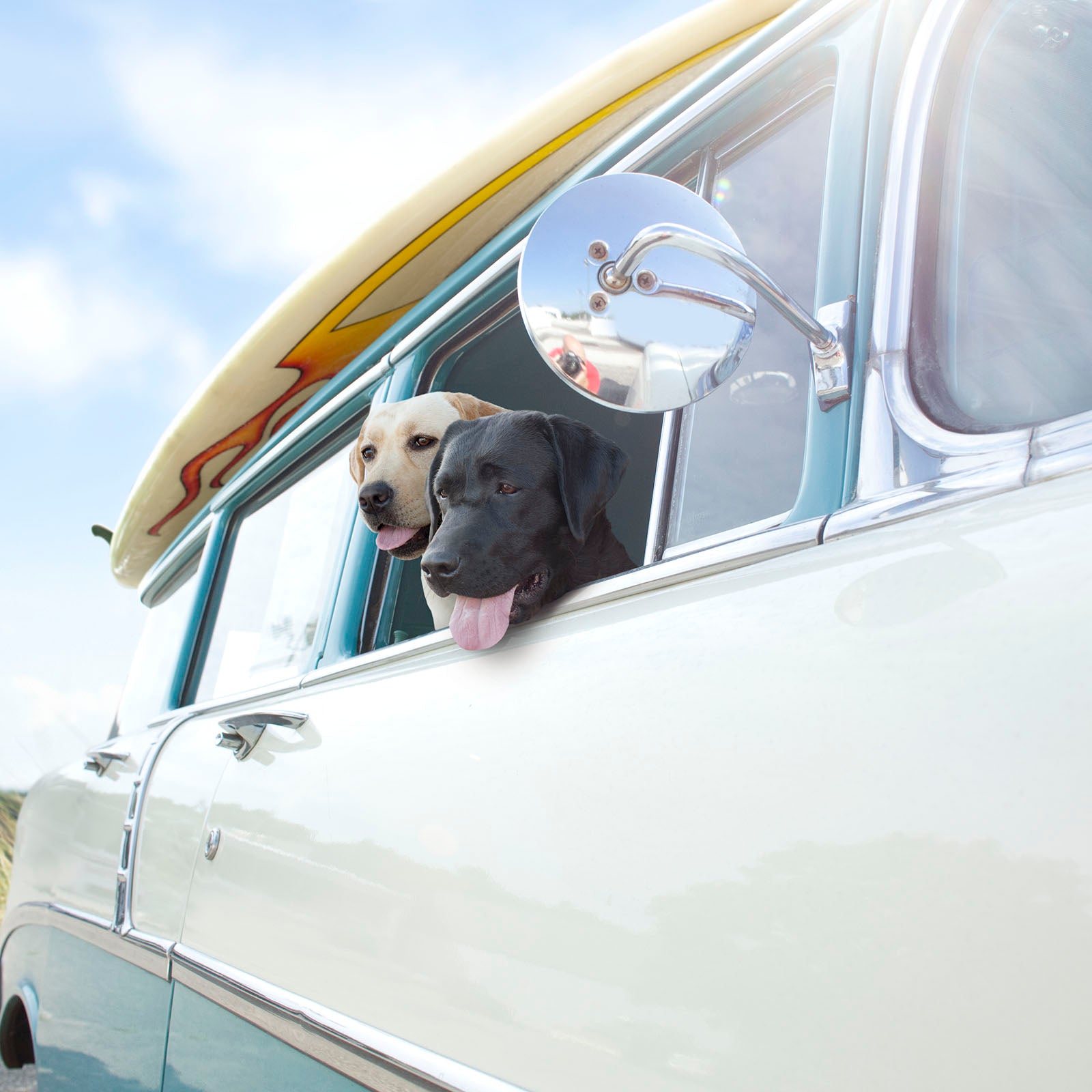 SURF'S UP LABRADOR SURFING DOG SURFER ART PRINT BEACH HOUSE DECOR