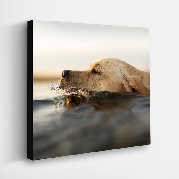 THE SEA DOG Art Print - Yellow Labrador  Beach, Lake House Wall Decor