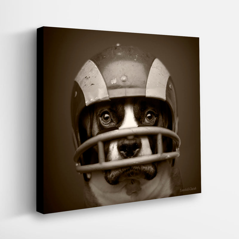 TANK Football Dog Canvas Art Print - Boxer Dog Football Wall Art