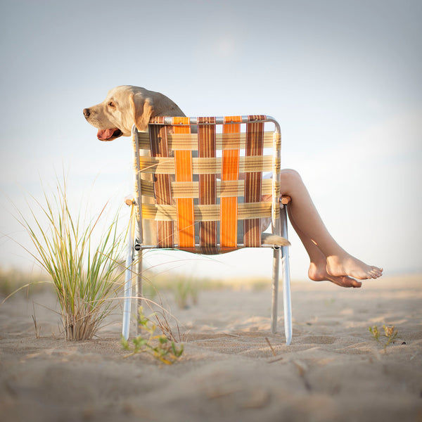 TANNER Dog Canvas Art Print - Yellow Labrador Coastal Beach House Wall Art