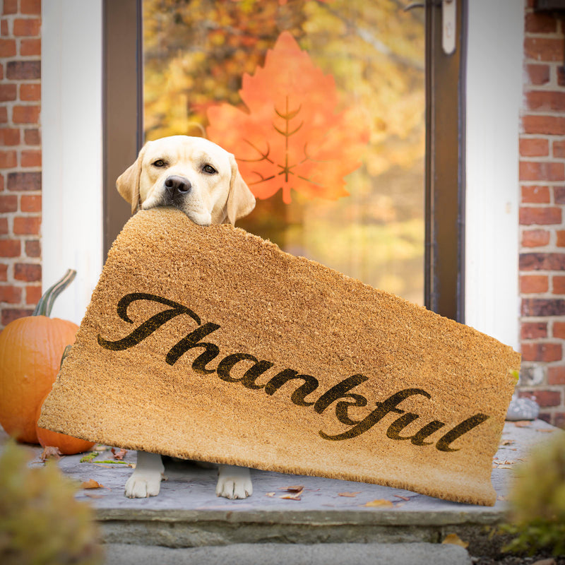 "Thankful" Quotet Canvas - Home Decor for Dog Lovers - Yellow Labrador Art