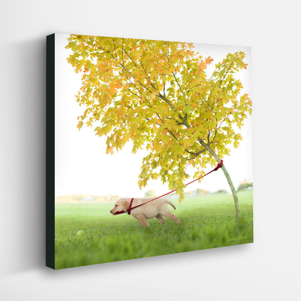 TIMBER Dog Canvas Art Print - Yellow Labrador Tree Wall Art