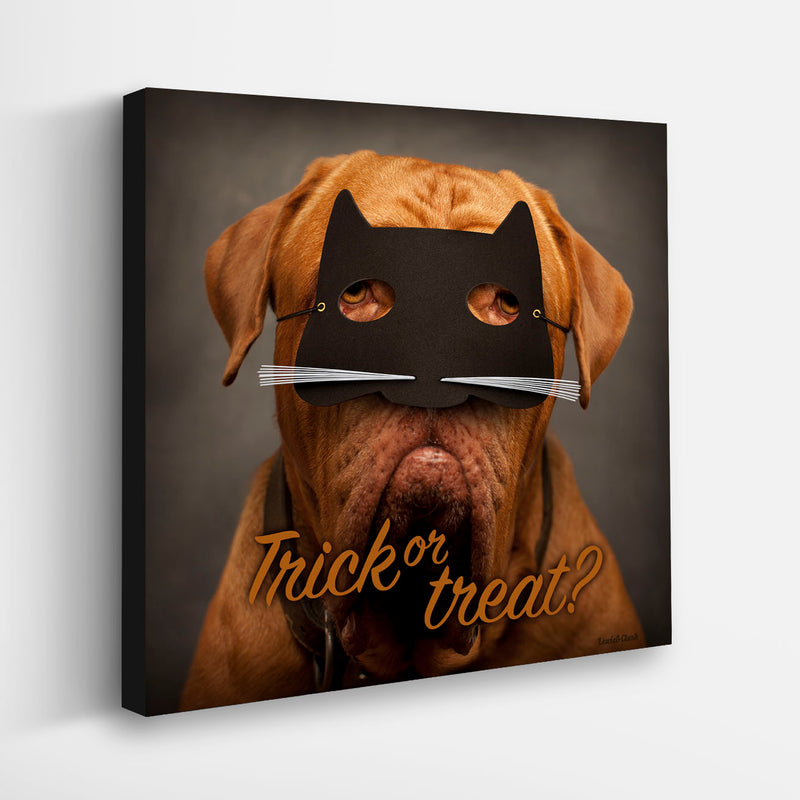 "Trick or Treat?" Dog in Cat Mask Canvas - Halloween Wall Decor for Dog Lovers - Frech Mastiff Art, Dogue de Bordeaux