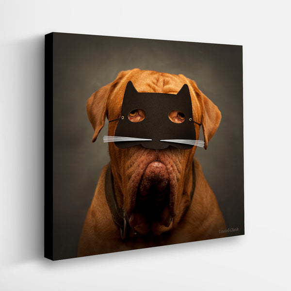 French Mastiff, Dogue de Bourdeaux - Red Dog in Cat Mask Dog Wall Art on Print or Canvas by. Fun, colorful & unique dog art by the world's top dog photographer Ron Schmidt.